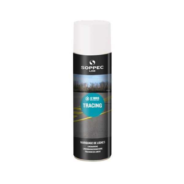 Peintures sols - Gabanou Décoration