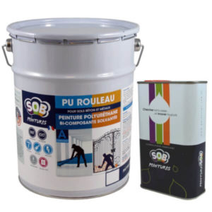 Peintures sols - Gabanou Décoration