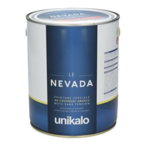 NEVADA 2010